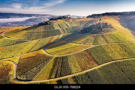 Drone shot, vineyards in autumn, near Strümpfelbach, Remstal, Baden-Württemberg, Germany-stock-foto
