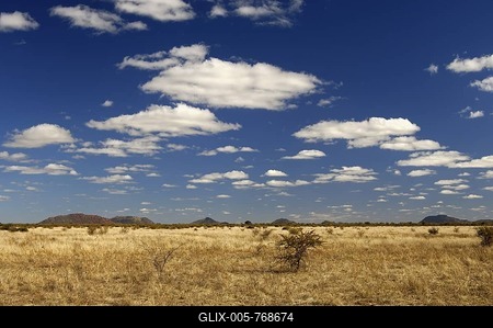 African savannah landscape, Madikwe Game Reserve, South Africa, Africa-stock-foto