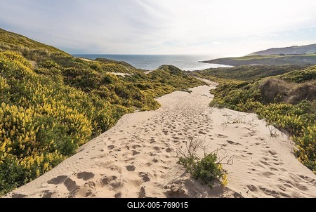Sand Dune, Bay Sandfly Bay, Dunedin, Otago, Otago Peninsula, Southland, New Zealand-stock-foto