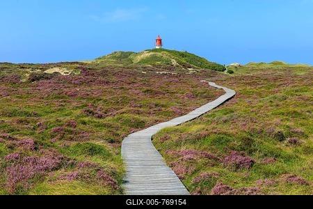 Lighthouse, cross light, blooming heath with wooden jetty on Amrum Island, North Sea, North Frisian Island, Schleswig-Holstein, Germany-stock-foto