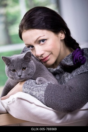 A young woman at home with a British Shorthair cat-stock-foto