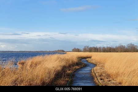 Boardwalk in a raised bog in the autumn, Ewiges Meer, expanse of water, Lower Saxony, Germany-stock-foto