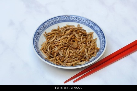 Dried mealworms in bowl and chopsticks, Germany-stock-foto