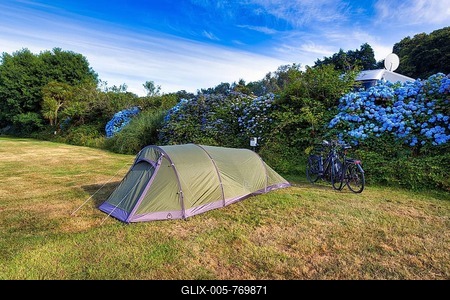 Tunnel tent in a meadow, camping, sustainable tourism, Cornwall, South England, England, United Kingdom-stock-foto