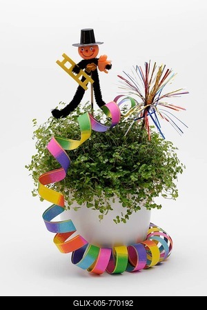 Baby's Tears or Pollyanna Vine (Soleirolia soleirolii) with New Year's decorations, a garland, a chimney sweep and a lucky pig-stock-foto
