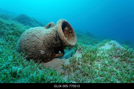 Amphora on seagrass meadow, Red Sea, Makadi Bay, Hurghada, Egypt-stock-foto