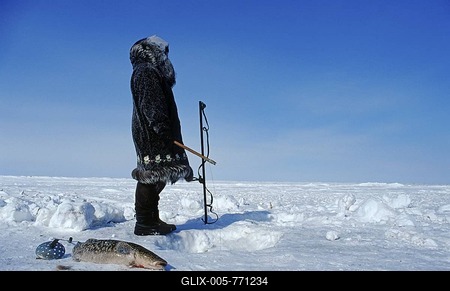 Inuit woman fishing in an ice hole, caught fish beside her, migratory Artic Char, Nuiqsut, on the coast of the Arctic Ocean in the far north of Alaska-stock-foto