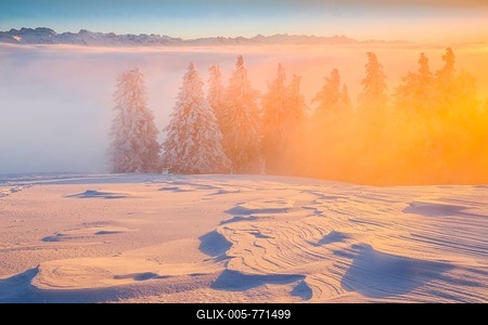 Winter forest in fog, Switzerland-stock-foto