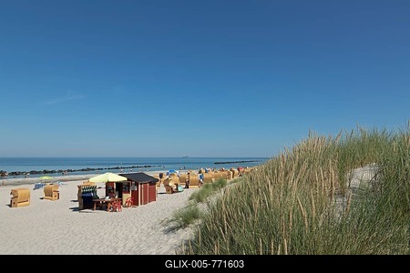 Beach, Common beach grass (Ammophila arenaria), dunes, Baltic seaside resort Wustrow, Mecklenburg-Western Pomerania, Germany-stock-foto
