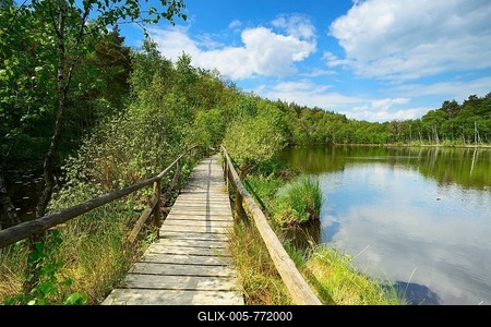 Moor path, boardwalk, boarded footpath through the moor, Wienpietschseen, Müritz National Park, Mecklenburg-Western Pomerania, Germany-stock-foto