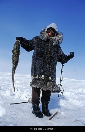 Inuit woman with a caught migratory Artic Char, Nuiqsut, on the coast of the Arctic Ocean in the far north of Alaska-stock-foto