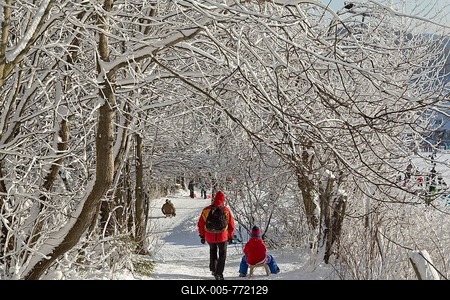 Walkers and sledders under snowy trees, Winterberg, Sauerland, North Rhine-Westphalia, Germany-stock-foto