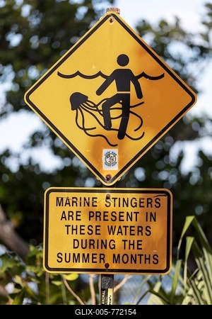 Warning sign on the beach, jellyfish in the water, Daintree National Park, Queensland, Australia-stock-foto