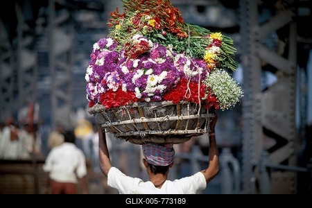 Man carrying flower on his head, near the Flower Market, Howrah Bridge over the Hooghly river, Calcutta, Kolkata, West Bengal, India, Asia-stock-foto