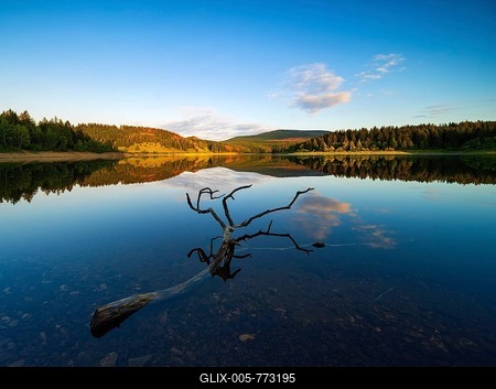 Evening atmosphere at the Ecker Dam, also Ecker Reservoir, branch lies in the water, behind the Brocken, drinking water dam, Harz National Park, Saxony-Anhalt, Germany-stock-foto