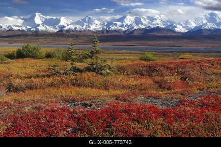 Autumn in Denali Nationalpark Alaska USA-stock-foto