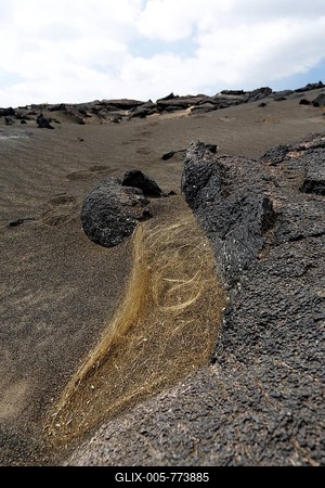Pele's Hair, fine volcanic glass fiber deriving from the current eruption of the Kilauea volcano, Hawaii Volcanoes National Park, Big Island, Hawaii, USA-stock-foto