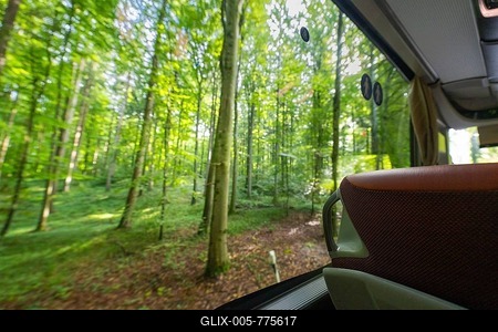 View from a bus window of a lush green forest in the sunshine, Lake Constance, Germany-stock-foto