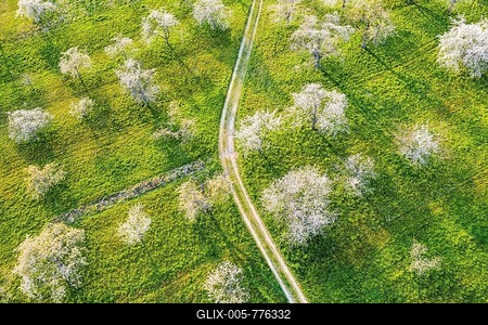 Drone shot, cherry blossom, meadow orchard in the Rems valley, Swabian Forest, Baden-Württemberg, Germany-stock-foto