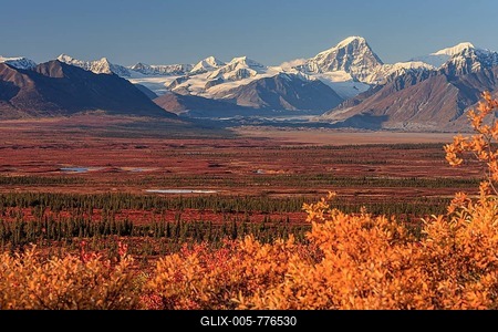 Autumn coloured tundra in front of mountains, Denali Highway, Alaska Range, Alaska, USA-stock-foto