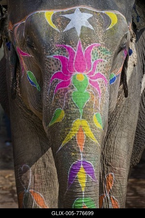 Painted Elephant, Amber Fort, Jaipur, Rajasthan, India, Asia-stock-foto