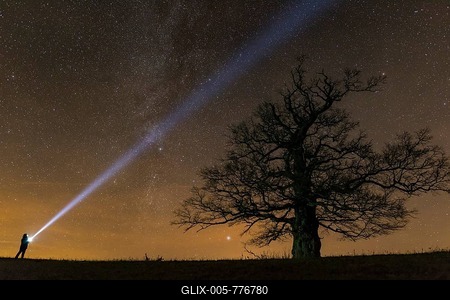 Man with flashlight at Oak (Quercus) on the Röthelberg with starry sky at night, tree, silhouette, Hohen-Demzin, Mecklenburg-Western Pomerania, Germany-stock-foto