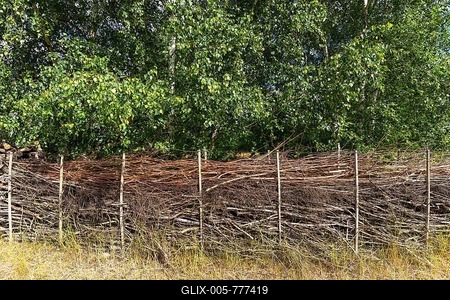 Benjes hedges or deadwood hedges on a nature conservation area, Mecklenburg-Western Pomerania, Germany-stock-foto