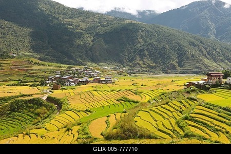 View of Lobesa and terraced rice fields, Punakha District, Bhutan-stock-foto