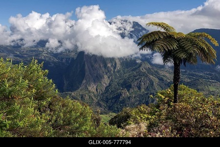 View of Cirque de Salazie from Gite de Bélouve, tree fern (Cyatheales) in front, Réunion, France-stock-foto