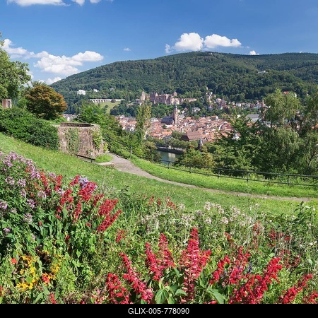 View of the historic centre and castle from the Philosopher's Walk in Heidelberg, Baden-Württemberg, Germany-stock-foto