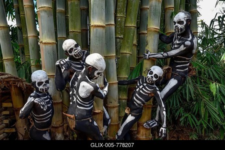 Natives with skeleton painting, Omo Bugamo tribe or skeleton people, Mount Hagen Festival in the village of Avi, Waghi Valley, near Mount Hagen, Western Highlands Province, Papua New Guinea-stock-foto