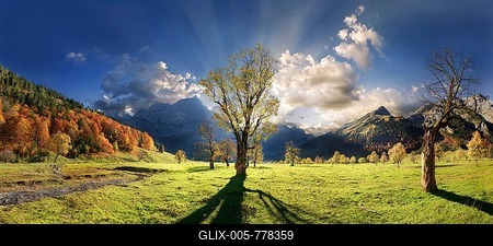 Großer Ahornboden Panorama with autumnal colourful gnarled maple tree in low sun below the Spritzkar and Grubenkar Karwendel peaks with bizarre cloudy sky, Engalm, Engtal, Karwendel, Pertisau, Hinterriß, Tyrol, Austria-stock-foto