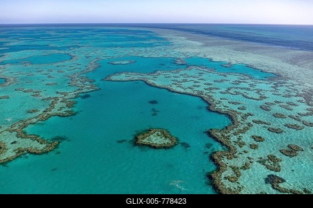 Coral Reef, Heart Reef, part of Hardy Reef, Outer Great Barrier Reef, Queensland, Australia-stock-foto