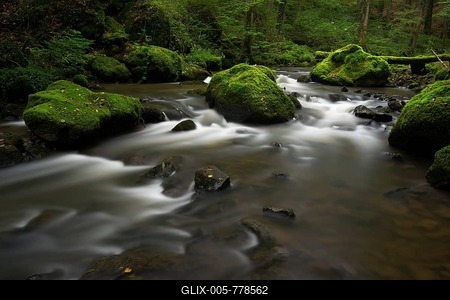 Stream, Strohner Schweiz, Daun, Vulkaneifel, Rhineland-Palatinate, Germany-stock-foto