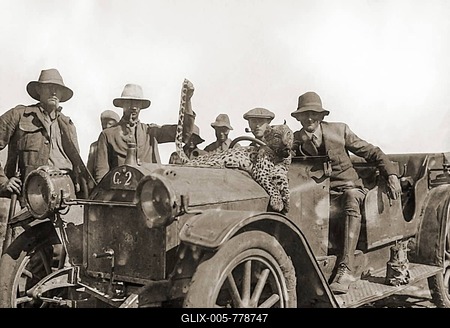 Historical picture, farmers with killed leopard on a car, 1919, former German-South West Africa, Grootfontein, today's Namibia-stock-foto