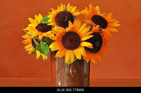 Sunflowers (Helianthus annuus) in a clay pot, Middle Franconia, Bavaria, Germany-stock-foto
