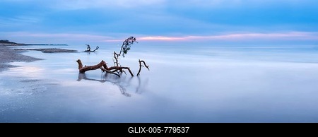 Panorama, long exposure, beach of the Baltic Sea with uprooted tree in winter, western beach Darß after storm, peninsula Fischland-Darß-Zingst, National Park Vorpommersche Boddenlandschaft, Mecklenburg-Western Pomerania, Germany-stock-foto