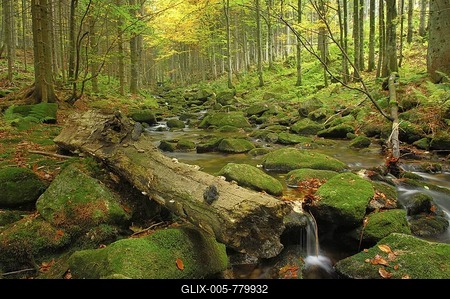 Brook Kleine Ohne, Bavarian Forest, Bavaria, Germany-stock-foto