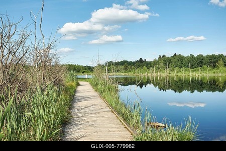 Wooden footbridge in the Regenmoor marshland and Neckar origin Schwenninger Moos, Villingen-Schwenningen, Schwarzwald-Baarkreis, Baden-Württemberg, Germany-stock-foto