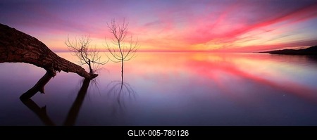 Sunset on the Szczecin Lagoon, tree trunk lying on the beach in the water of the Baltic Sea, Usedom Island, Mecklenburg-Western Pomerania, Germany-stock-foto