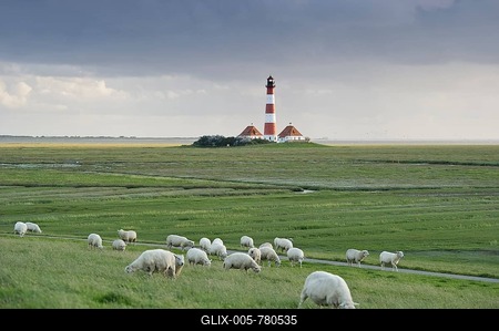 Lighthouse and sheep, Westerheversand, Westerhever, Eiderstedt, North Frisia, Schleswig-Holstein, Germany-stock-foto