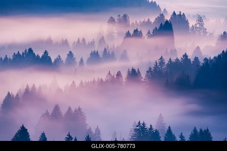 Fog and forest in Oberägeri in the canton of Zug, Switzerland-stock-foto