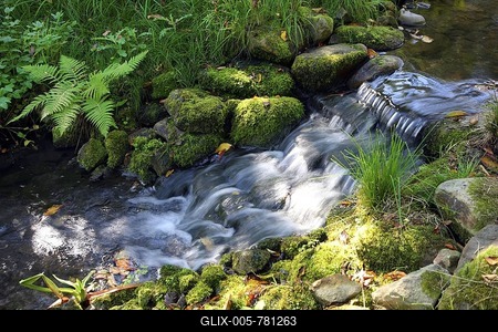 Small waterfall in a brook, public Botanical Garden of the Ruhr-University Bochum, North Rhine-Westphalia, Germany, Europe, PublicGround-stock-foto