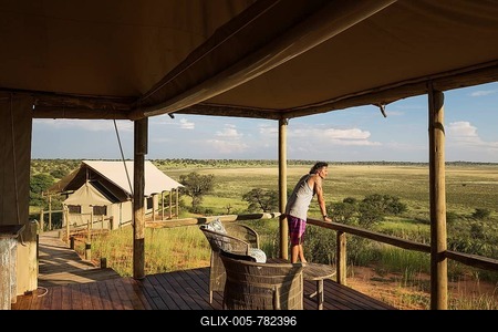 Lobby and stilted canvas tent, Polentswa Camp on the ridge of a sand dune, during the rainy season with green surroundings, Kalahari Desert, Kgalagadi Transfrontier Park, Botswana-stock-foto