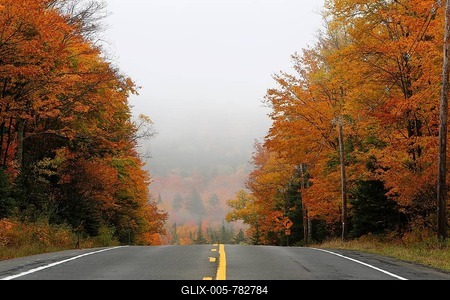 Country road in autumn, Adirondacks, Upstate New York, USA-stock-foto
