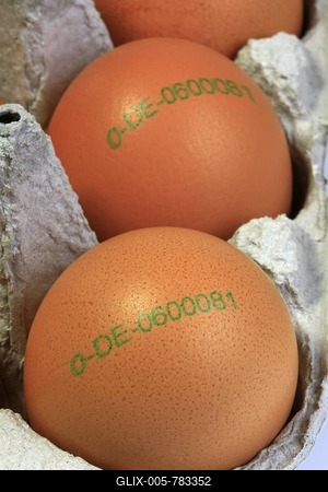 Organic brown eggs with stamp of origin in an egg carton, country of origin: Germany-stock-foto