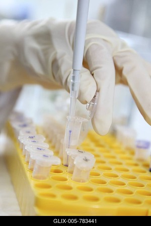 Laboratory, pipetting of DNA samples into Eppendorf tubes, Centre for Medical Biotechnology University Duisburg-Essen, North Rhine-Westphalia, Germany, Europe-stock-foto