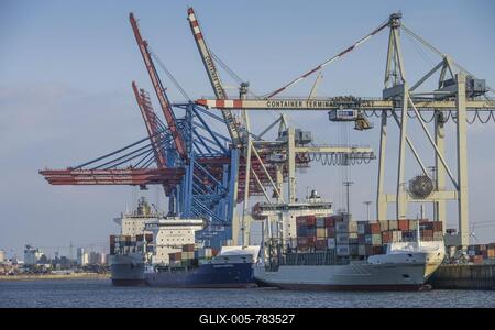 Container Terminal Tollerort, Cranes, Elbe, Hamburg-stock-foto