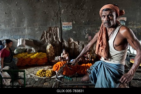 Rickshaw driver, flower market, Howrah Bridge, Kolkata or Calcutta, West Bengal, East India, India, Asia-stock-foto