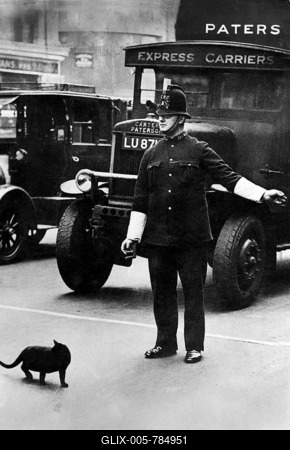 Traffic policeman stopping cars to let a cat cross the road, historic picture from about 1920-stock-foto